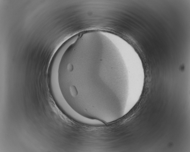 X0000115200892200912091131