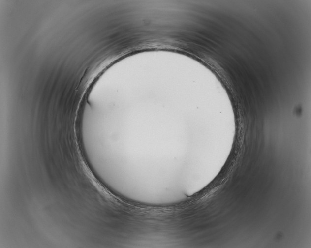 X0000115200893200912091131