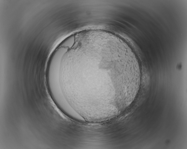 X0000115200894200912091131