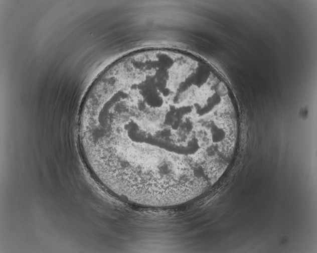 X0000115200895200912091131