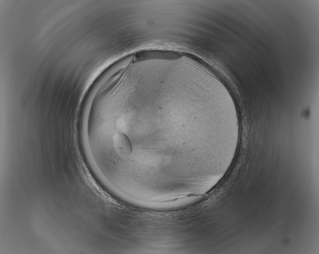 X0000115200896200912091131