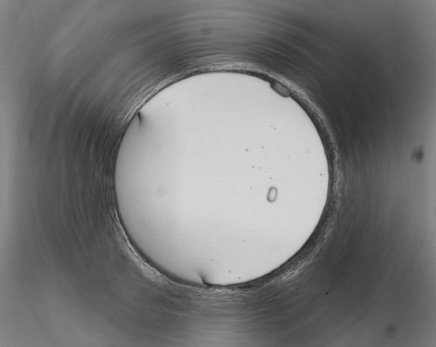 X0000115200897200912091131