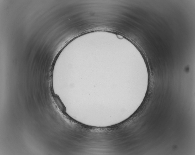 X0000115200898200912091131