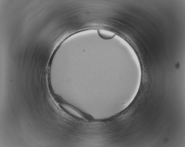 X0000115200899200912091131