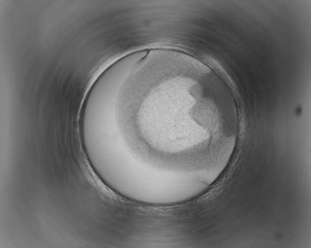 X0000115200900200912091131