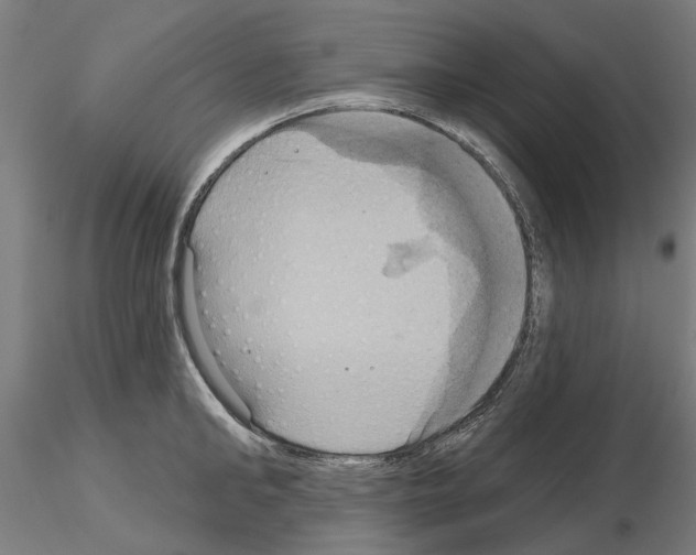 X0000115200902200912091131