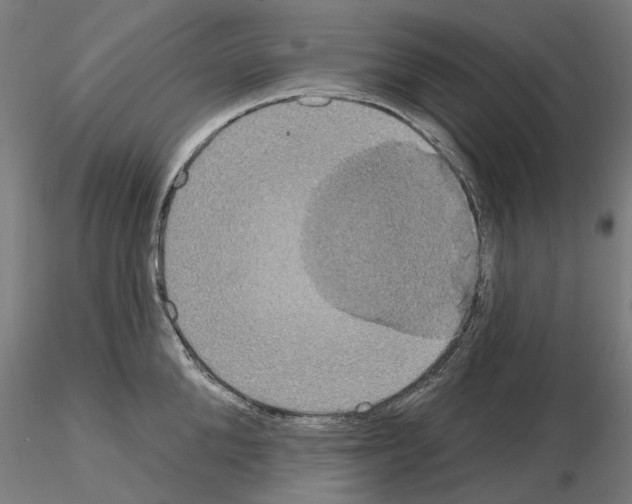 X0000115200904200912091131