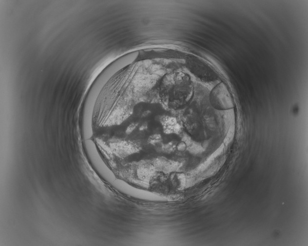 X0000115200907200912091131