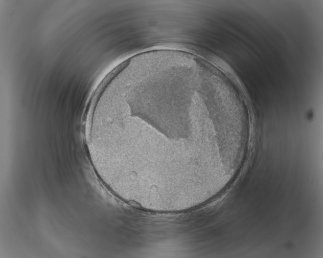 X0000115200908200912091131