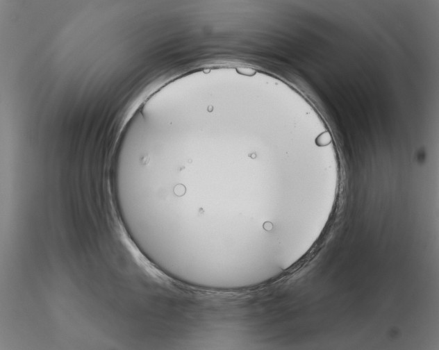 X0000115200909200912091131