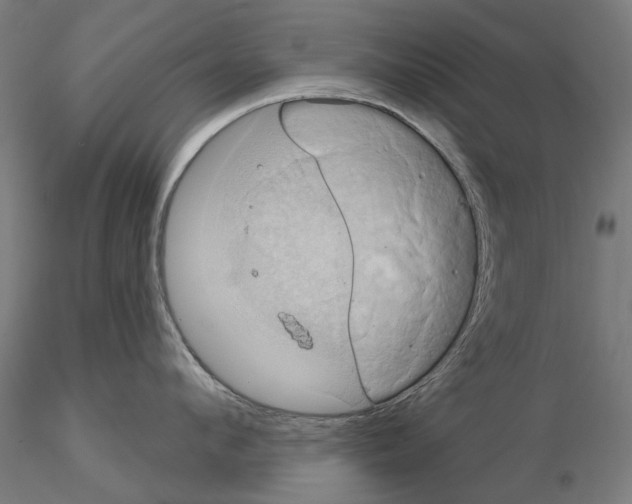 X0000115200912200912091131