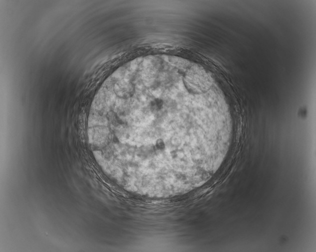 X0000115200917200912091130