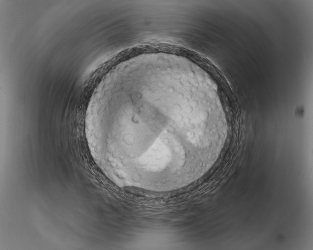 X0000115200919200912091130