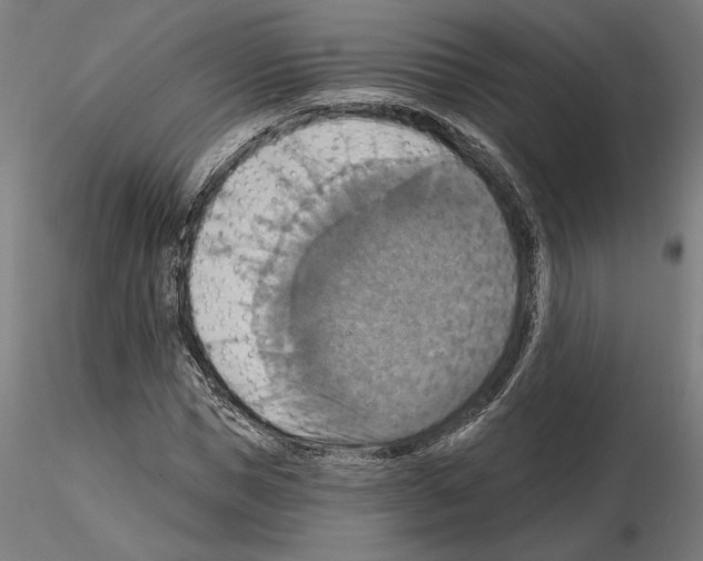 X0000115200921200912091130