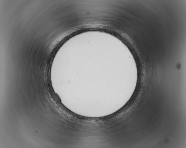 X0000115200922200912091130