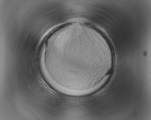 X0000115200923200912091131