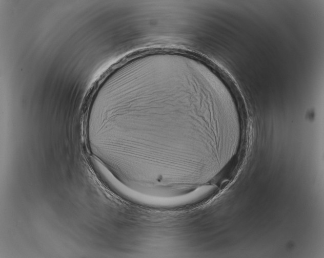 X0000115200925200912091131