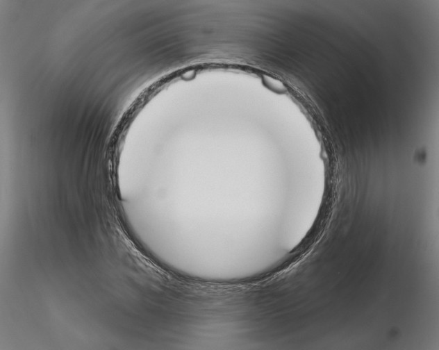 X0000115200926200912091131