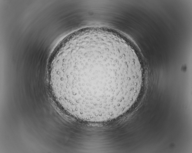 X0000115200927200912091131