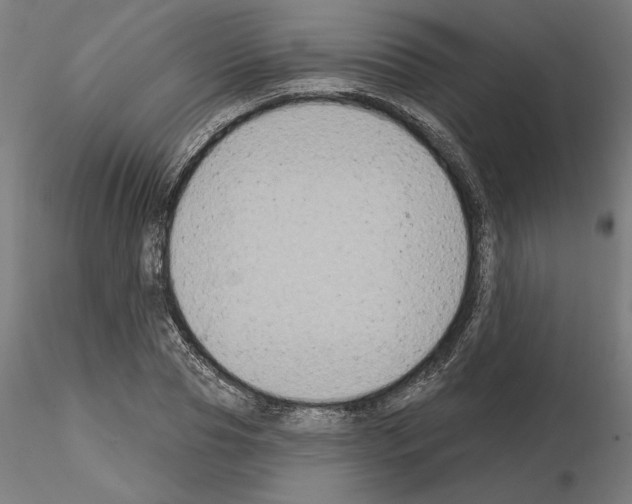 X0000115200929200912091131