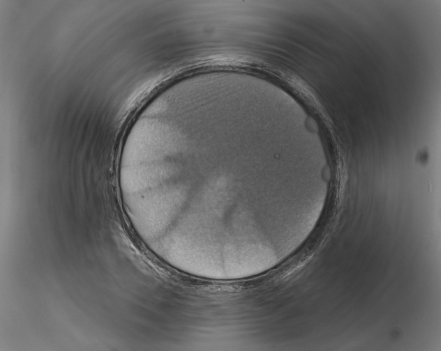 X0000115200930200912091131