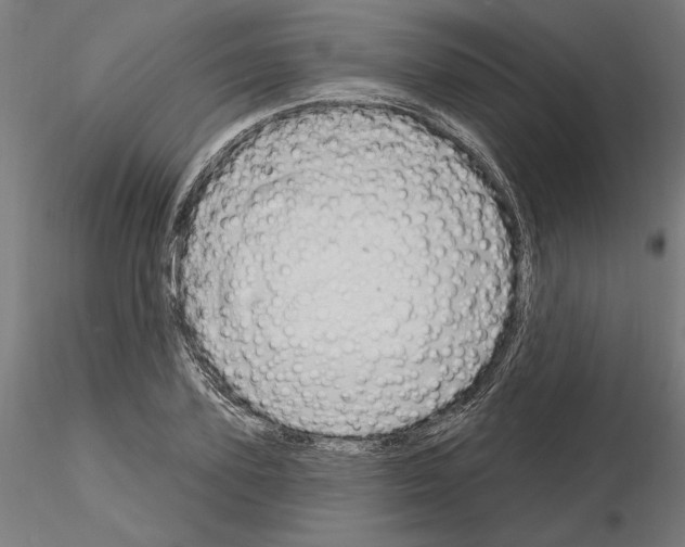 X0000115200931200912091131