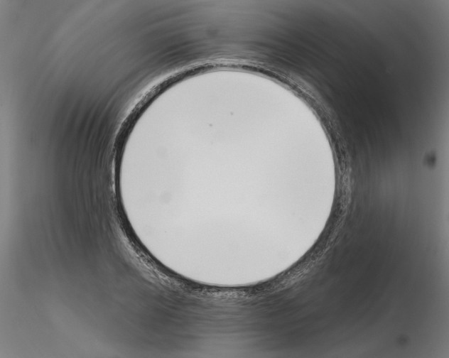 X0000115200934200912091131