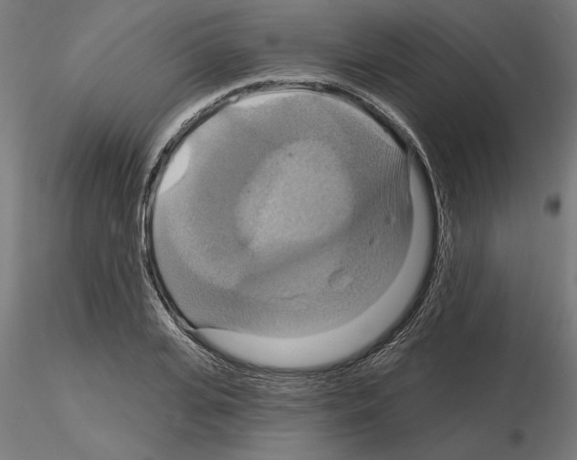 X0000115200935200912091131