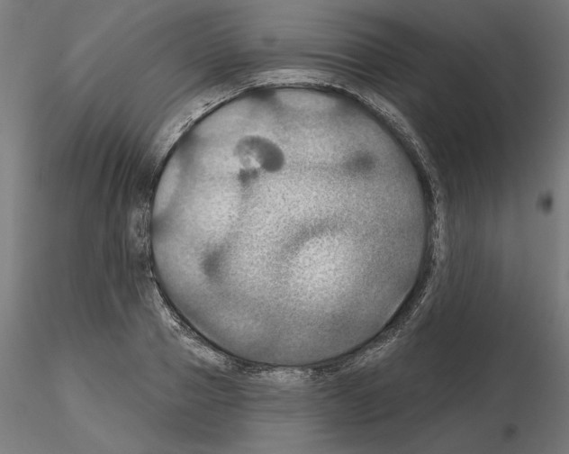 X0000115200937200912091131