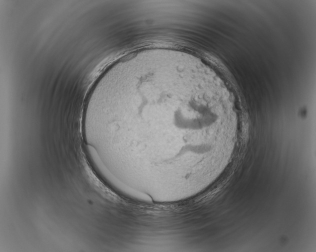 X0000115200938200912091131