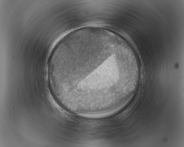 X0000115200939200912091131