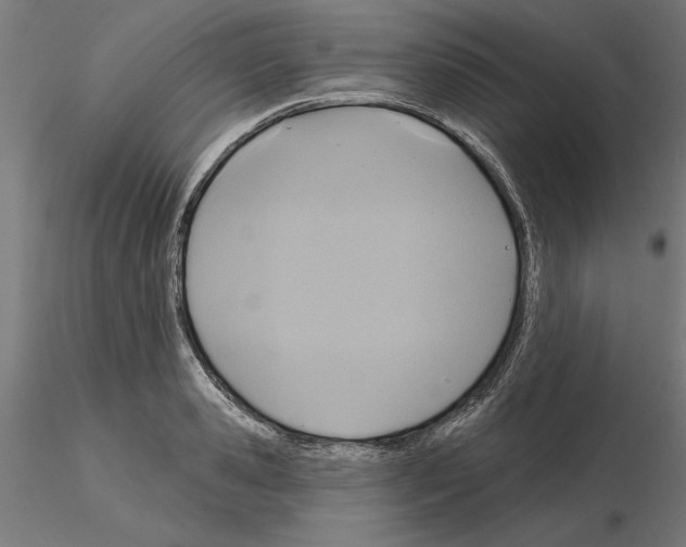 X0000115200941200912091131