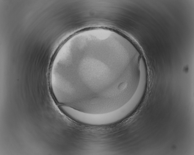 X0000115200943200912091131