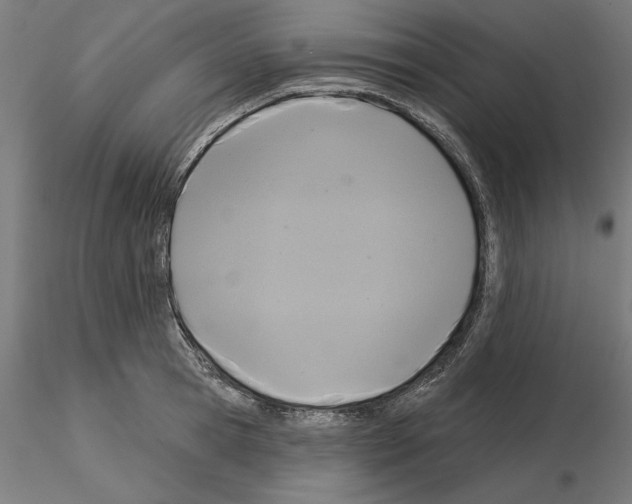 X0000115200945200912091131