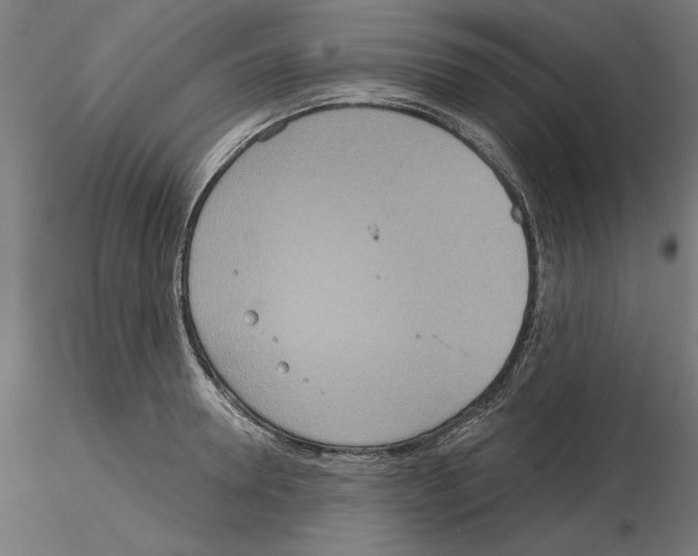 X0000115200946200912091131