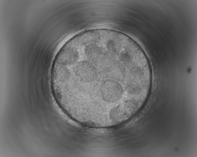 X0000115200949200912091131