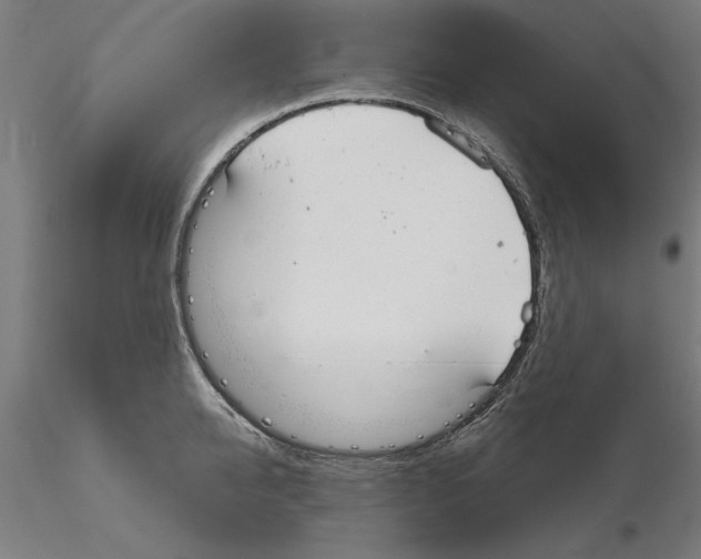 X0000115200950200912091131