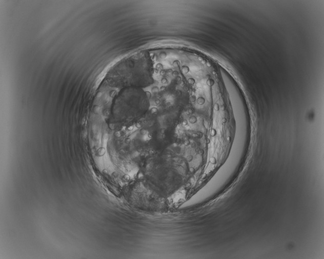 X0000115200953200912091131