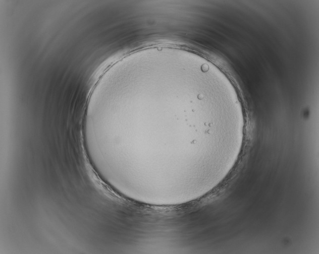 X0000115200954200912091131