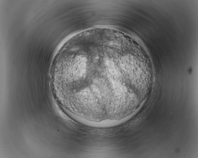 X0000115200955200912091131