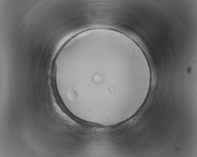 X0000115200958200912091131