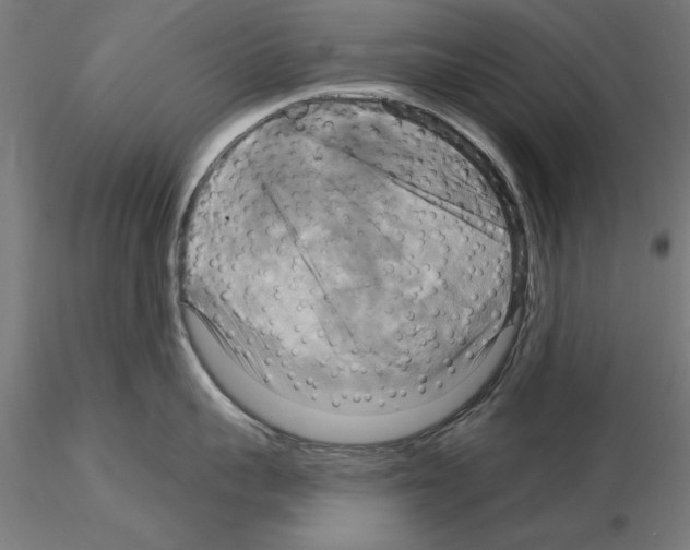 X0000115200959200912091131