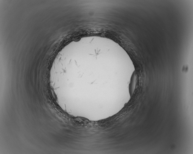 X0000115200961200912091130