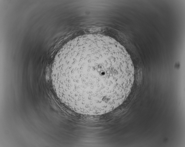 X0000115200962200912091130