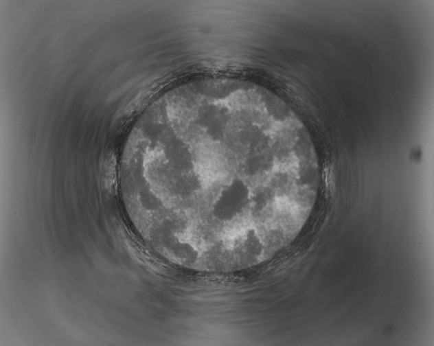 X0000115200963200912091130