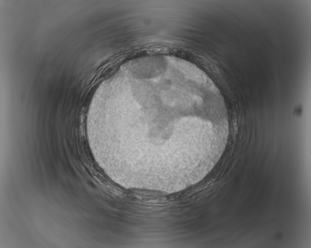 X0000115200964200912091130