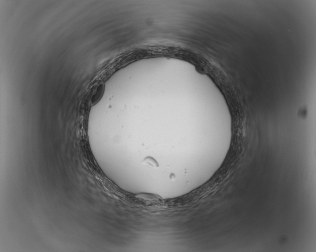 X0000115200965200912091130