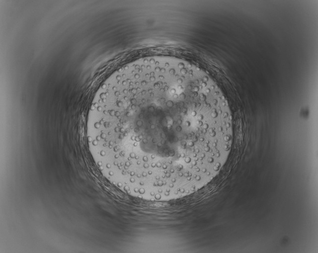 X0000115200966200912091130