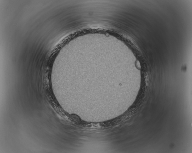 X0000115200968200912091130