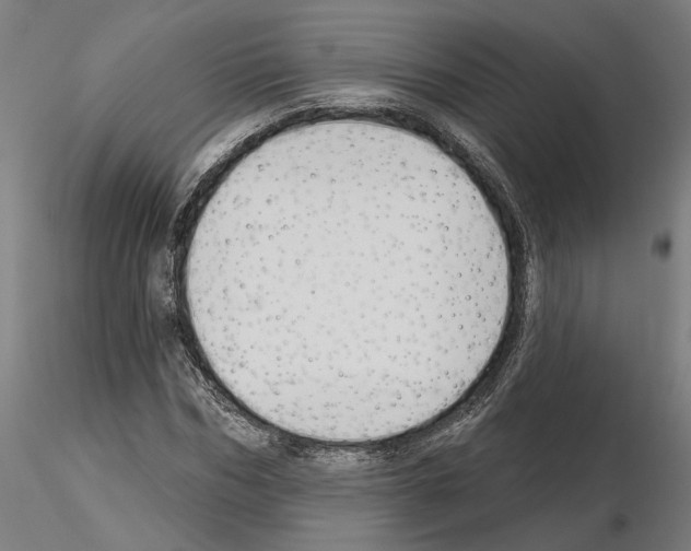 X0000115200970200912091130